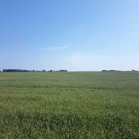 Doppelhaushälfte Nordwind vom Naturhof Usedom Bannemin Exterior foto