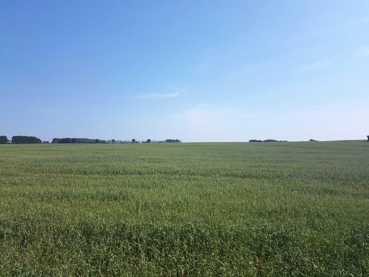 Doppelhaushälfte Nordwind Vom Naturhof Usedom * Bannemin