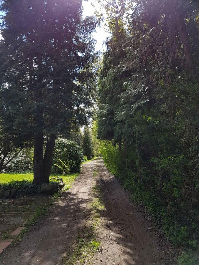 Doppelhaushaelfte Nordwind Vom Naturhof Usedom * Bannemin