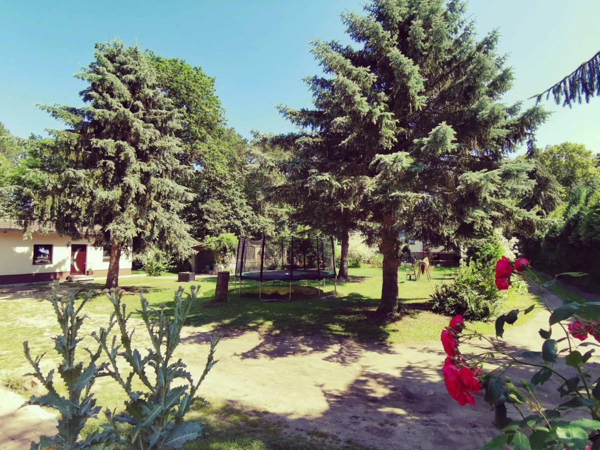 Apartment Doppelhaushälfte Nordwind Vom Naturhof Usedom *