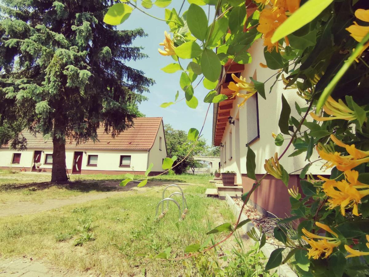 Lejlighed Doppelhaushaelfte Nordwind Vom Naturhof Usedom