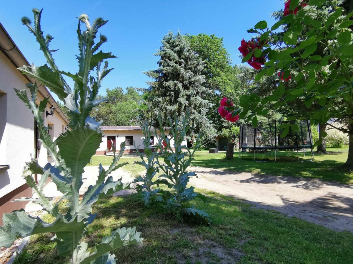 Apartment Doppelhaushälfte Nordwind Vom Naturhof Usedom Bannemin